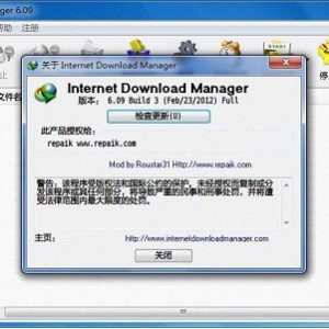 IDM 6.40.7.2最新版，全球最快的下载工具