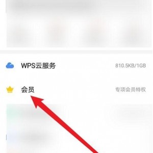 WPS激活版 告别会员限制 安装可用